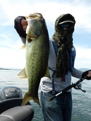 truth news ブログ写真 2013/07/21