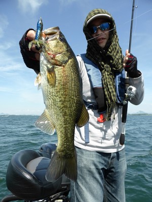 truth news ブログ写真 2013/07/21