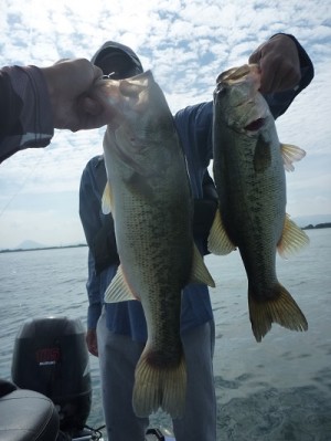 truth news ブログ写真 2013/07/21