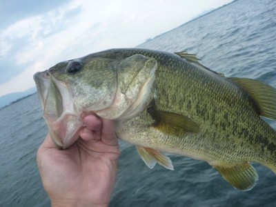 truth news ブログ写真 2013/07/21