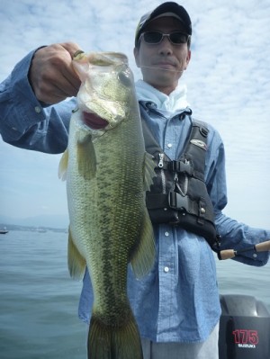 truth news ブログ写真 2013/07/21