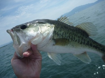 truth news ブログ写真 2013/07/21