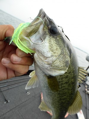 truth news ブログ写真 2013/07/23