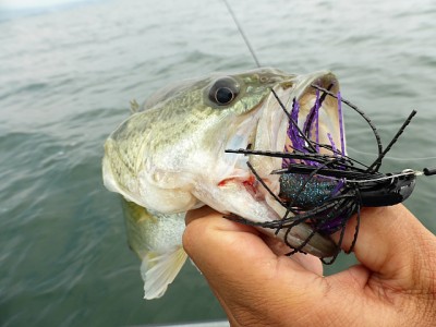 truth news ブログ写真 2013/07/23