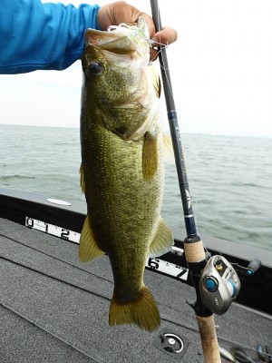 truth news ブログ写真 2013/07/23