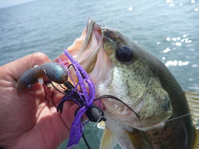 truth news ブログ写真 2013/07/24