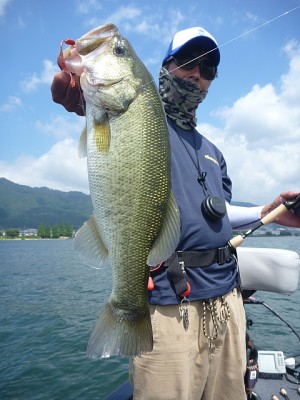 truth news ブログ写真 2013/07/24