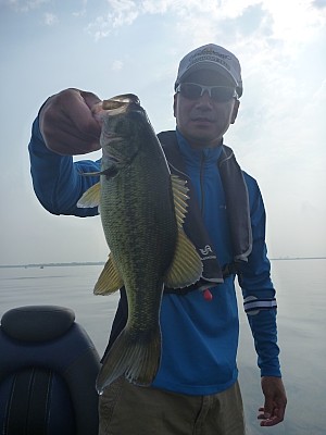 truth news ブログ写真 2013/07/25