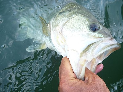 truth news ブログ写真 2013/07/25