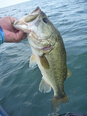 truth news ブログ写真 2013/07/25