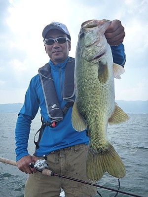 truth news ブログ写真 2013/07/25