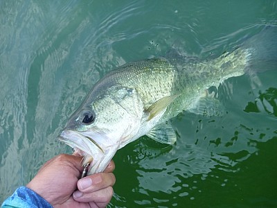 truth news ブログ写真 2013/07/25