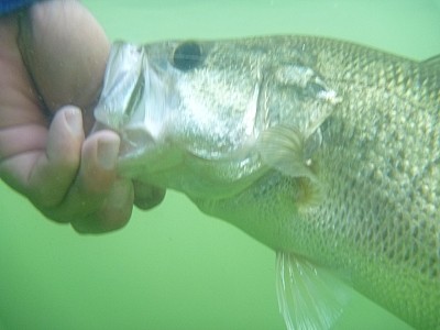 truth news ブログ写真 2013/07/25