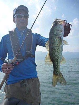 truth news ブログ写真 2013/07/25