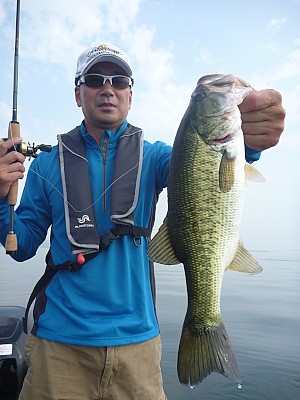 truth news ブログ写真 2013/07/25