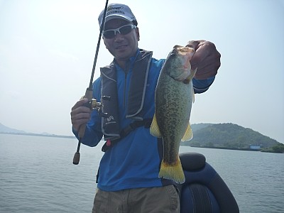 truth news ブログ写真 2013/07/25