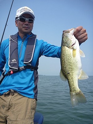 truth news ブログ写真 2013/07/25