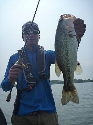 truth news ブログ写真 2013/07/25