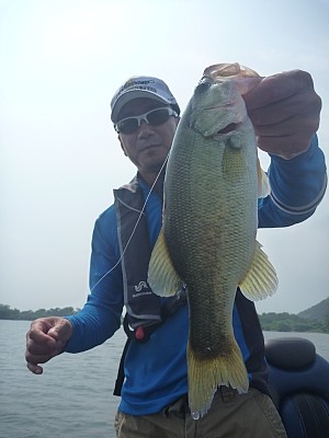 truth news ブログ写真 2013/07/25