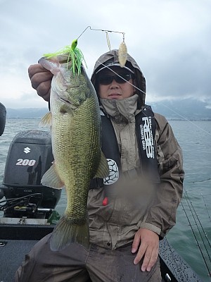 truth news ブログ写真 2013/07/25