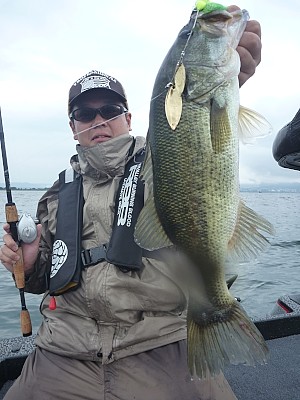 truth news ブログ写真 2013/07/25