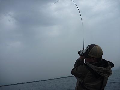 truth news ブログ写真 2013/07/25