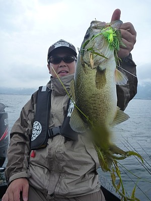 truth news ブログ写真 2013/07/25