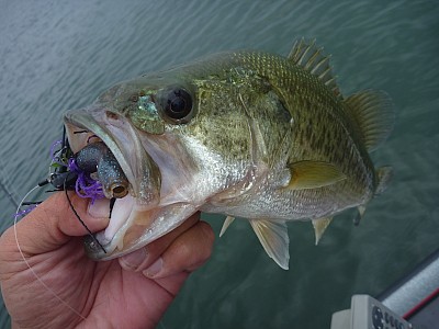 truth news ブログ写真 2013/07/25