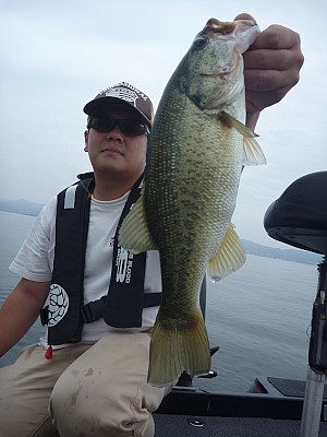 truth news ブログ写真 2013/07/25