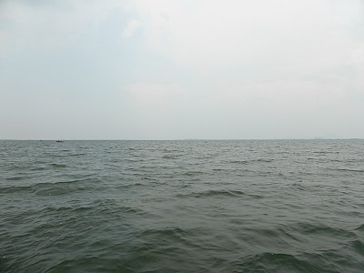 truth news ブログ写真 2013/07/27