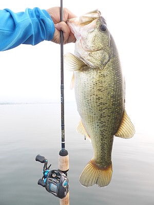 truth news ブログ写真 2013/07/27