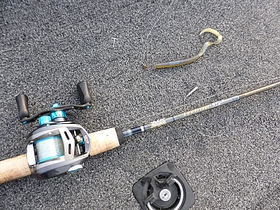 truth news ブログ写真 2013/07/27