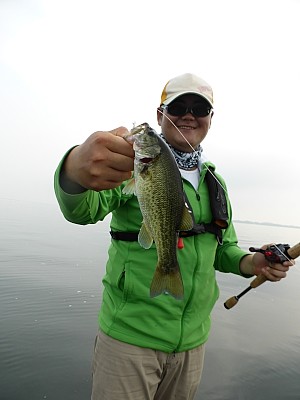 truth news ブログ写真 2013/07/27