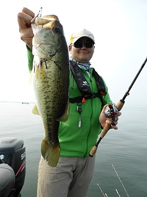 truth news ブログ写真 2013/07/27