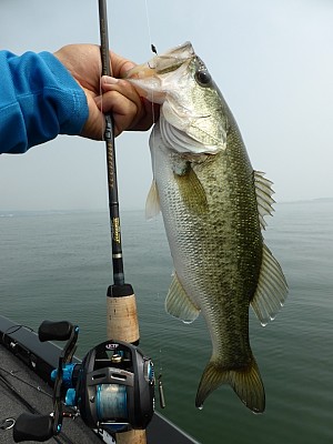 truth news ブログ写真 2013/07/27