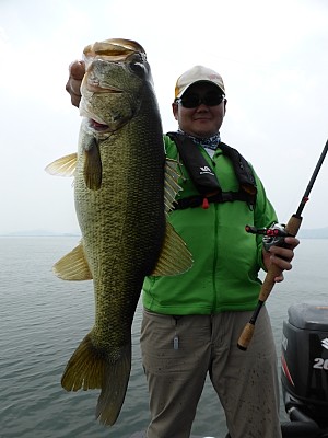 truth news ブログ写真 2013/07/27