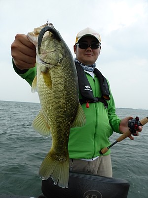 truth news ブログ写真 2013/07/27