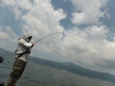 truth news ブログ写真 2013/08/03