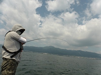 truth news ブログ写真 2013/08/03