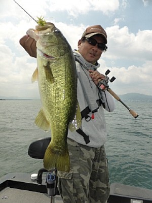 truth news ブログ写真 2013/08/03