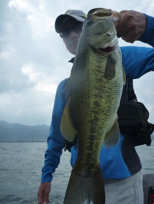 truth news ブログ写真 2013/08/04