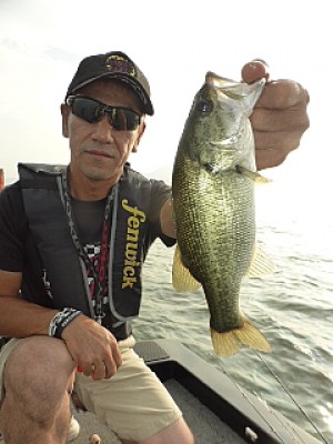 truth news ブログ写真 2013/08/06