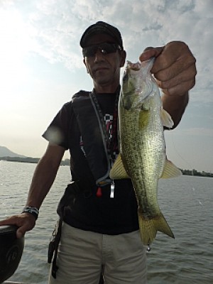 truth news ブログ写真 2013/08/06