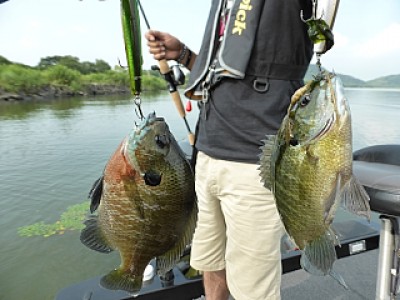 truth news ブログ写真 2013/08/06