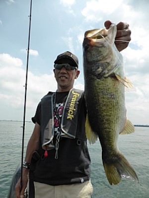 truth news ブログ写真 2013/08/06