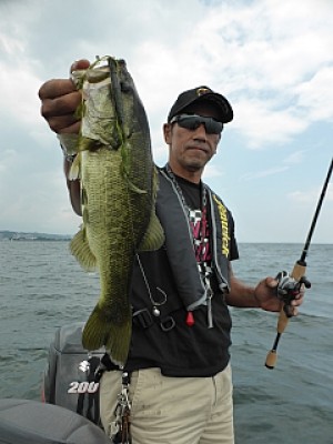 truth news ブログ写真 2013/08/06