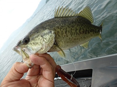 truth news ブログ写真 2013/08/06