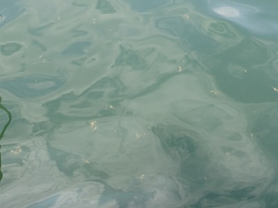 truth news ブログ写真 2013/08/07