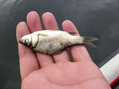 truth news ブログ写真 2013/08/07