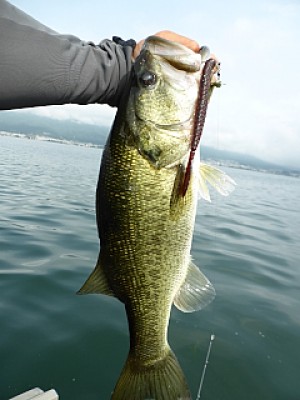 truth news ブログ写真 2013/08/07